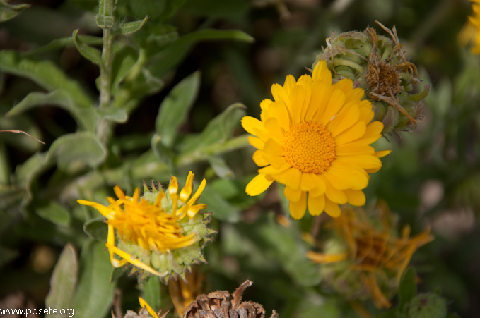 22052016-DSC_3550