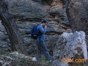 En Aras de los Olmos